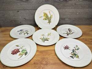 Spode England Copeland Wildflowers Embossed 9.25" Luncheon Plate Green Rim~6 Pc